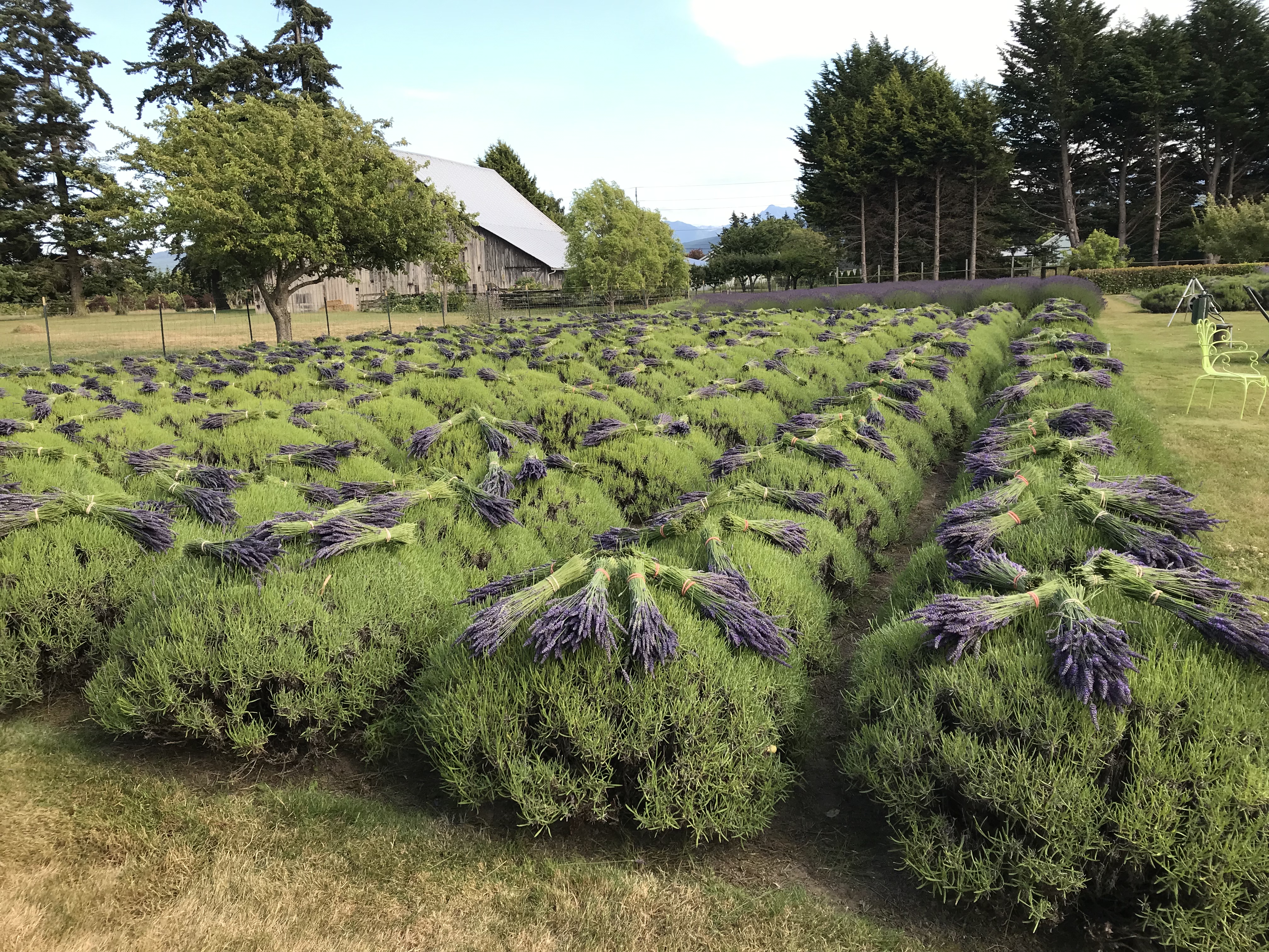 Country Garden Farm