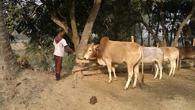 Photos of Mollah'r Bagan Bari