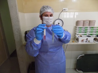 Photos of Consult&oacute;rio Veterin&aacute;rio Bicho Mania