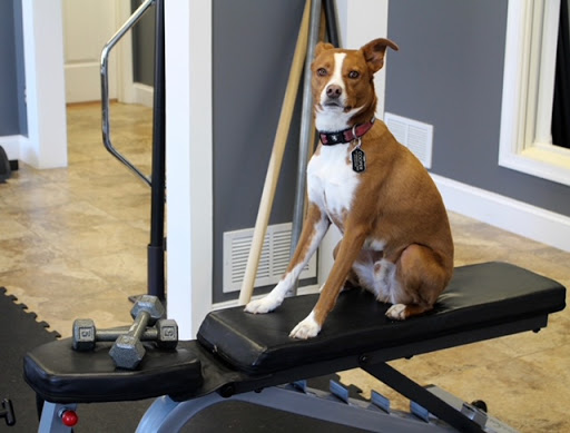 Misty Jaymes Fitness - Thumbnail