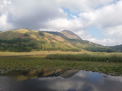 Liqeni i Dushkut