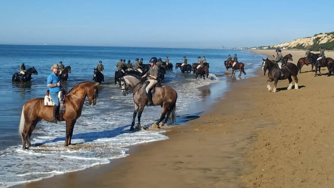 Abreviar vergüenza Asociar Arte Andaluz - Agencia de rutas a caballo por el Parque de Doñana, Sus  Dunas y Playas Virgenes.