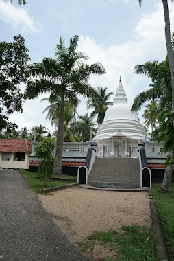 Paththaduwana Bhikshu Darmayathanaya, Author: Pubudu Indika