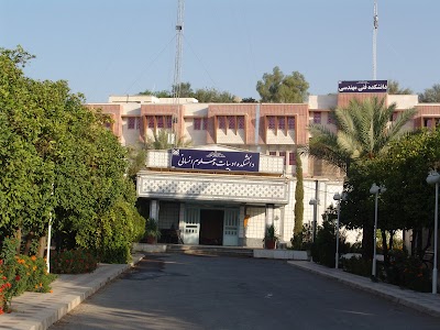 university