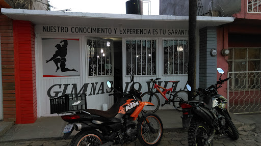 Gimnasio ''Villa''