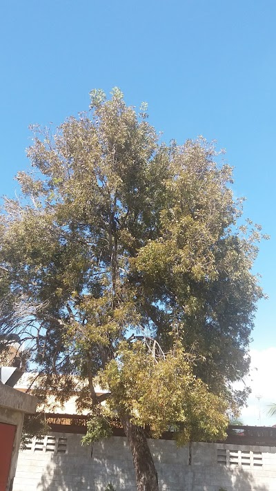 Photos of Molino del Sol