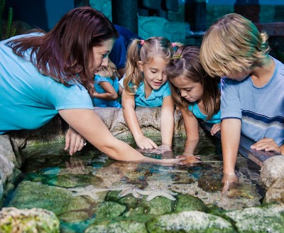 SEA LIFE San Antonio Aquarium