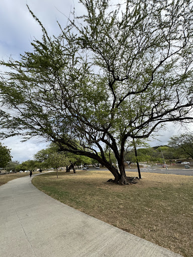 Bryan Clay Exercise Park - Thumbnail