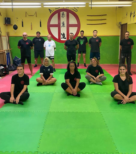 PALESTRA A.S.K.S. - Visual
