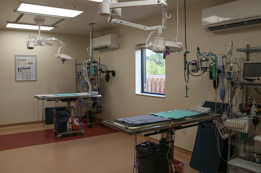 VCA Beech Grove Animal Hospital - Thumbnail