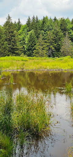 Tea Creek Trailhead - Thumbnail