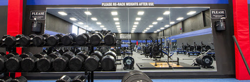 Landing Fitness Logo