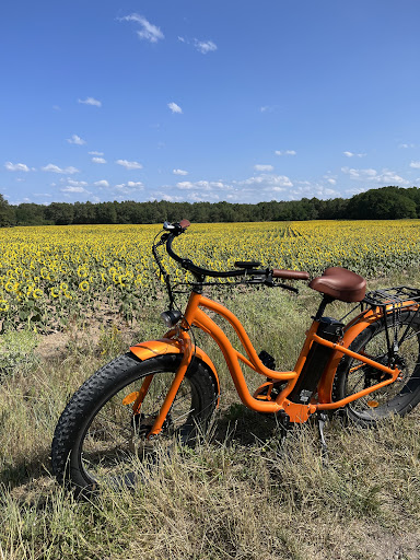 Royal Fat Bike