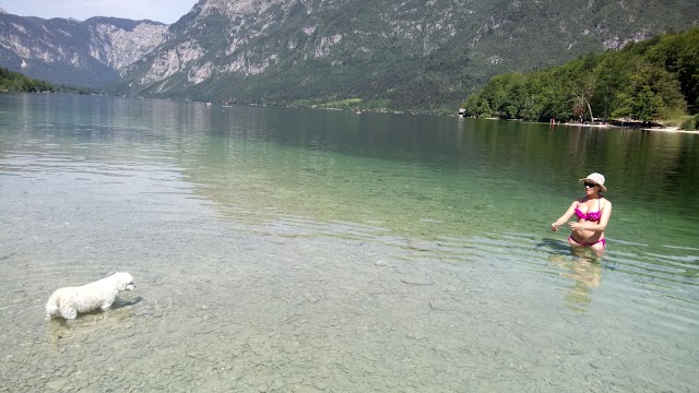 Lac de Bohinj