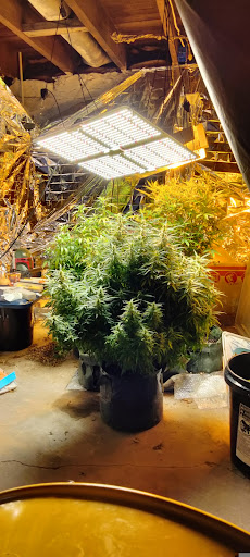 Royalty Hydro & Grow
