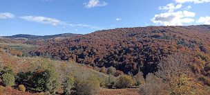 Photo n°13 de La Fougeraie chambre d'hôtes à Dourbies (Chambre d'hôtes)