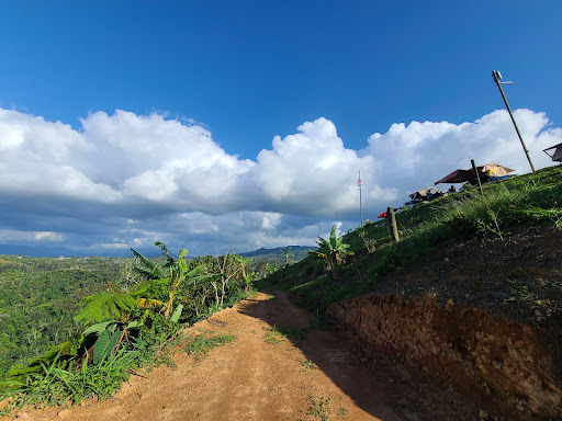 Hacienda Don Pancho - Thumbnail