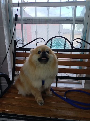 Pet's Medical Center - Thumbnail