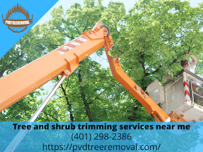 Tree and shrub trimming services near me Warwick RI