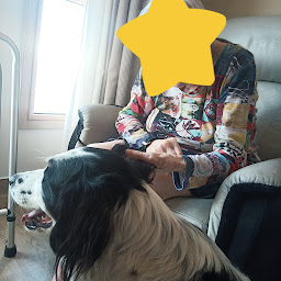 Photo n°3 de Médiation canine et équithérapie à Grièges (Coach particulier)