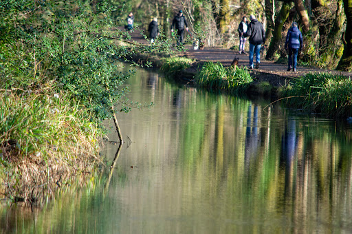 Clydach Canal Gallery - United Kingdom