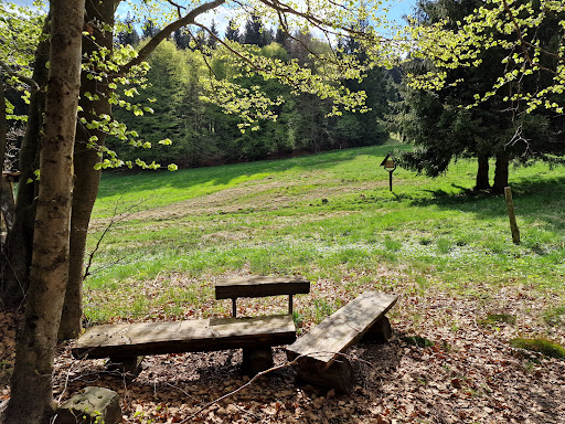 Pechbrunnen - Visual