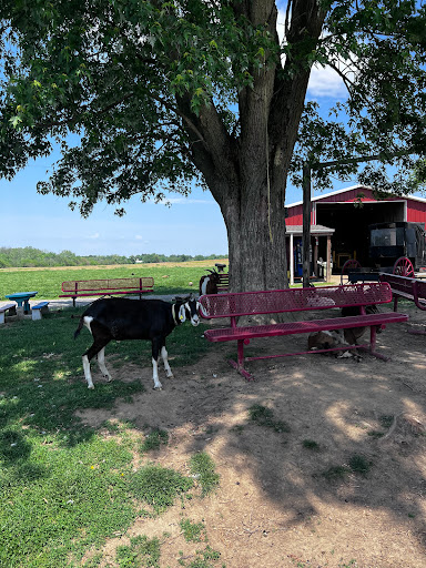 HalalCo Meats Farm - Thumbnail