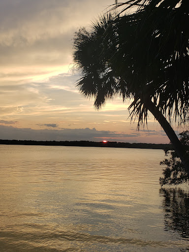 Orange Point - Welaka State Forest - Thumbnail
