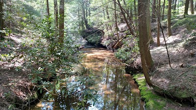 Colditz Cove State Natural Area