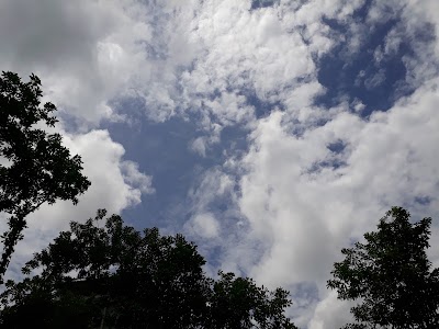 Photos of কনকাপৈত তুলা পুকুর