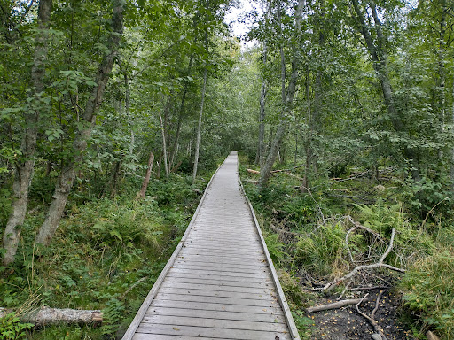 Stornäset - Thumbnail
