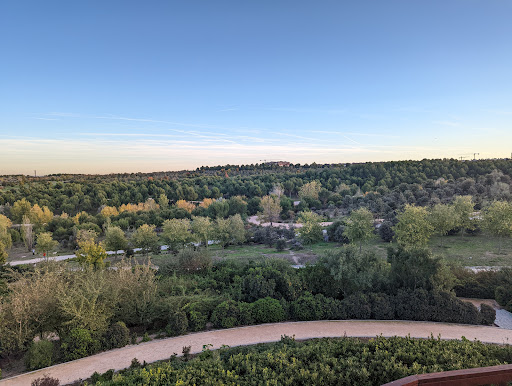 Valdebebas-Felipe VI Park - Thumbnail