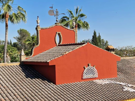 Pinturas Del Pino