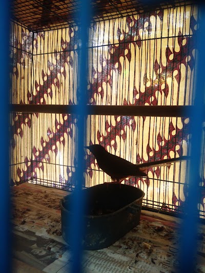 Photos of Toko MBRK