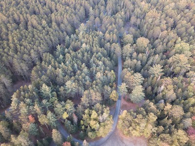 Photos of Cathedral Pines Camp Ground