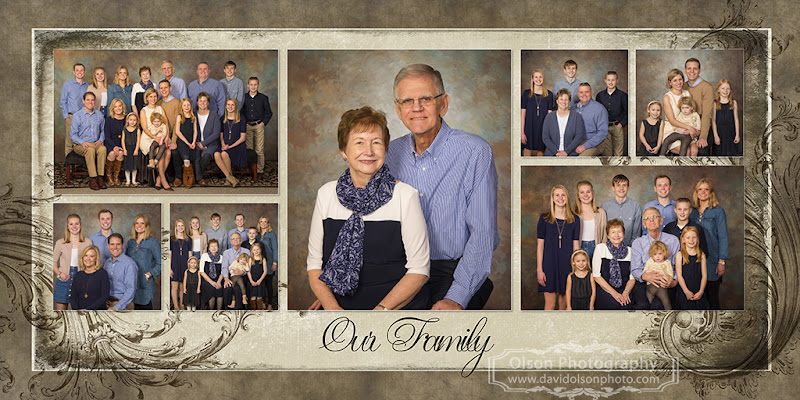 Olson Photography/ David Olson Photography — photography studio in Rockford, IL