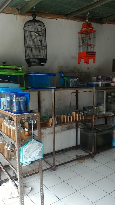 Photos of Alif Aquarium