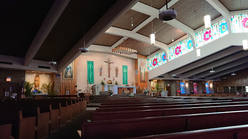 St Albert the Great Catholic School - Thumbnail