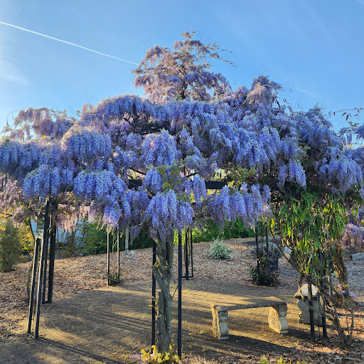 Inspiration Garden - Thumbnail
