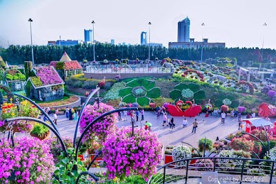 Photos of Dubai Free Zone Business Guide
