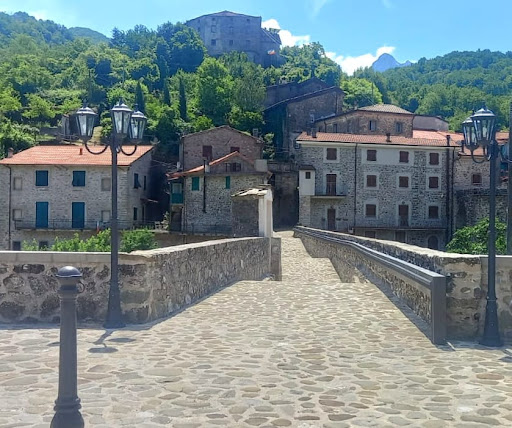 Lunidomus Di Paolo Lenzi - Thumbnail