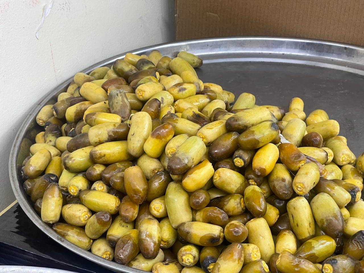 ABDUL KAREEM ABDUL RAHEEM MOHAMED VEGETABLE - صورة 2