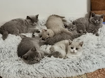 Eli's Farm à Blanzy