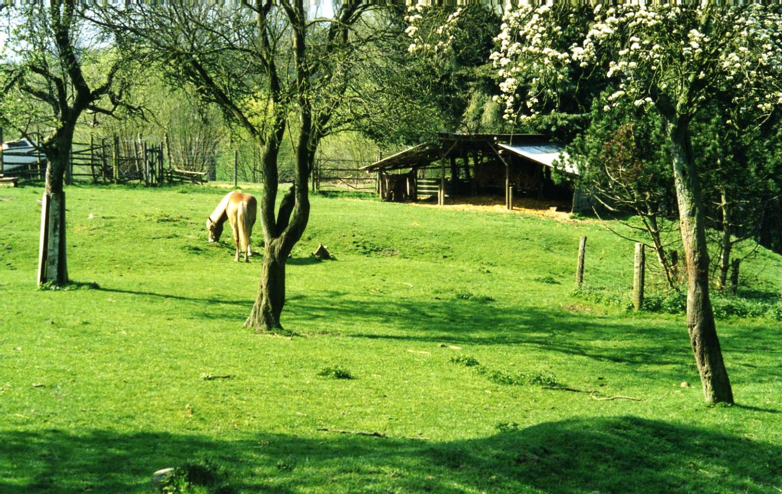 Thormählen — photo 10