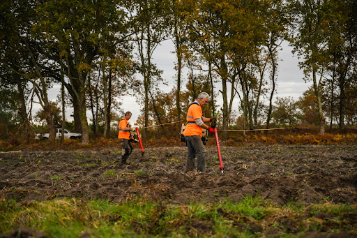 Photo de Groupement Forestier de la Compagnie des Landes à Pontenx-les-Forges (40200)