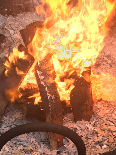 Hudson Valley Labradors