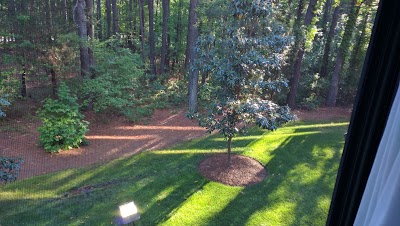 Photos of Country Inn & Suites By Carlson, Raleigh-Durham Airport, NC