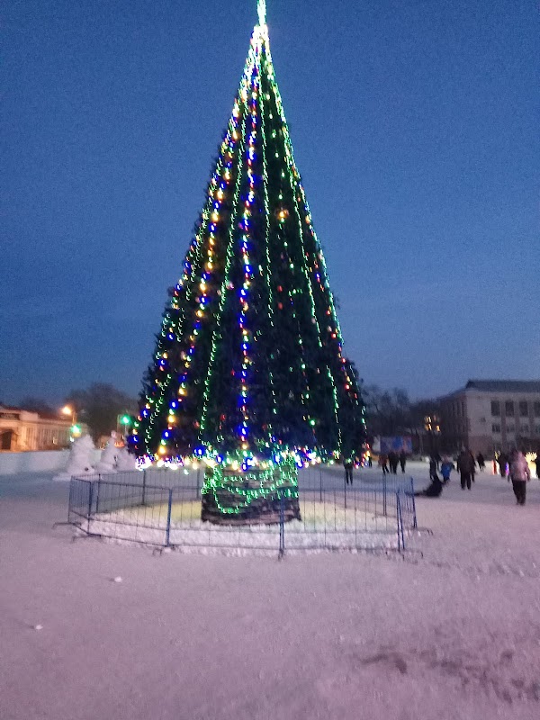 Сетевой белогорск амурская область