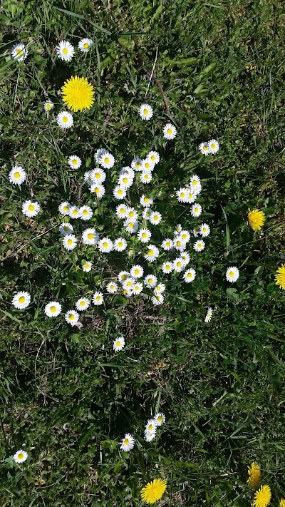 Photos of Klitg&aring;rd Camping