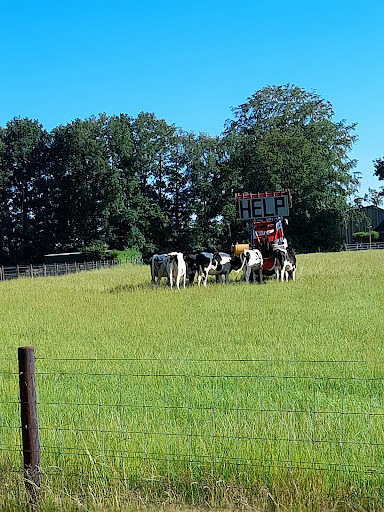 Dierenartsenpraktijk Hoogeveen - Thumbnail